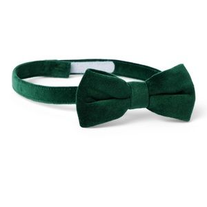 VELVET BOWTIE